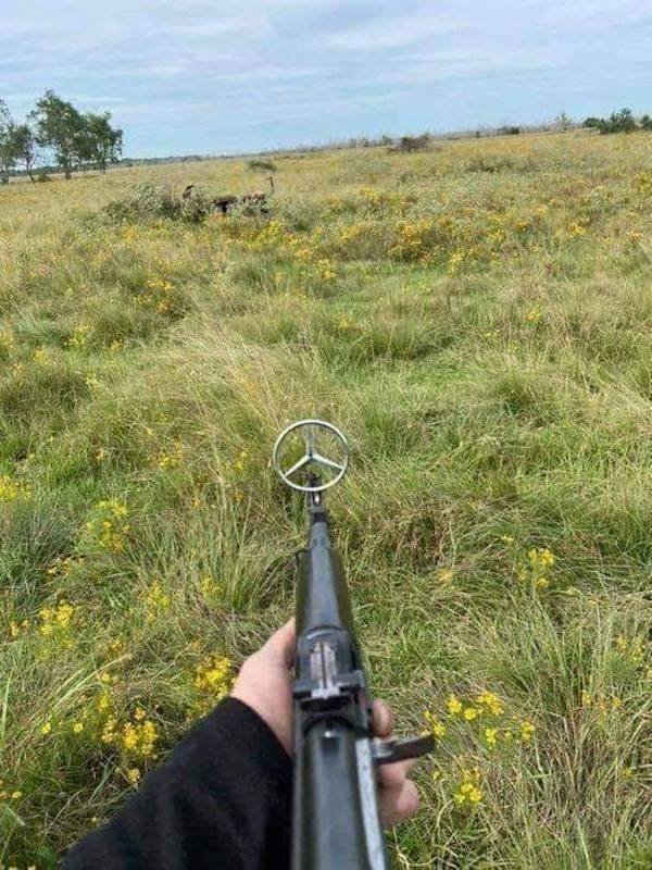 Explanation Needed (50 pics)