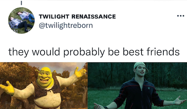 'Shrek' And 'Twilight' Have A Lot In Common (21 pics)