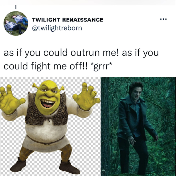 'Shrek' And 'Twilight' Have A Lot In Common (21 pics)