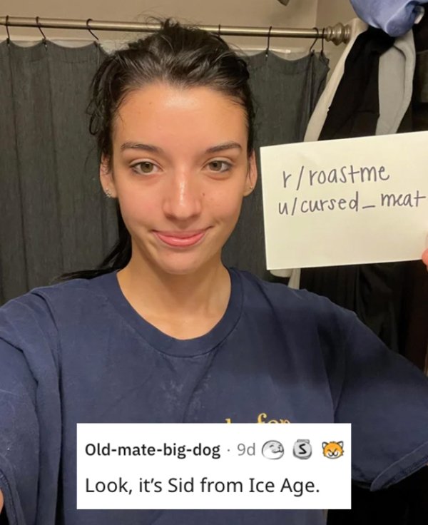 Roasted Comments (28 pics)