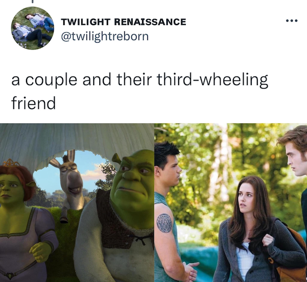 'Shrek' And 'Twilight' Have A Lot In Common (21 pics)