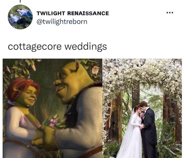 'Shrek' And 'Twilight' Have A Lot In Common (21 pics)