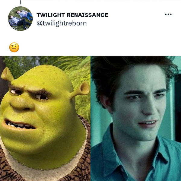 'Shrek' And 'Twilight' Have A Lot In Common (21 pics)