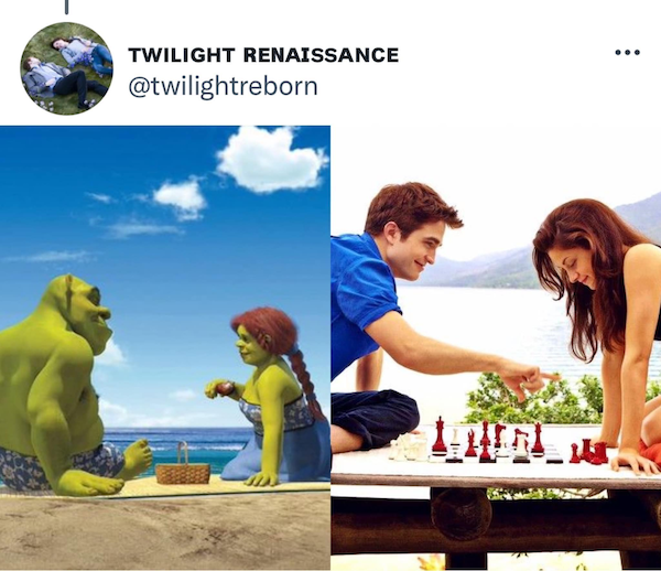 'Shrek' And 'Twilight' Have A Lot In Common (21 pics)