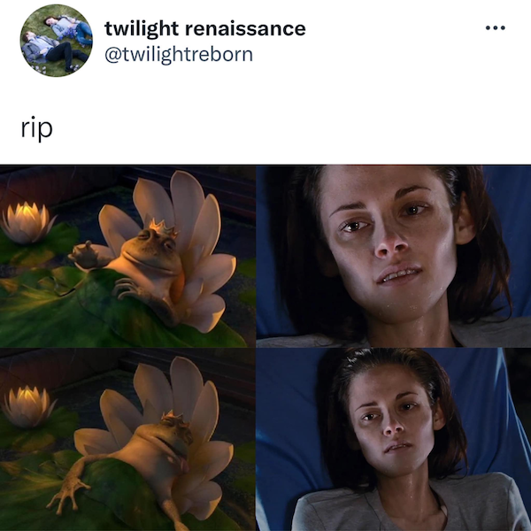 'Shrek' And 'Twilight' Have A Lot In Common (21 pics)