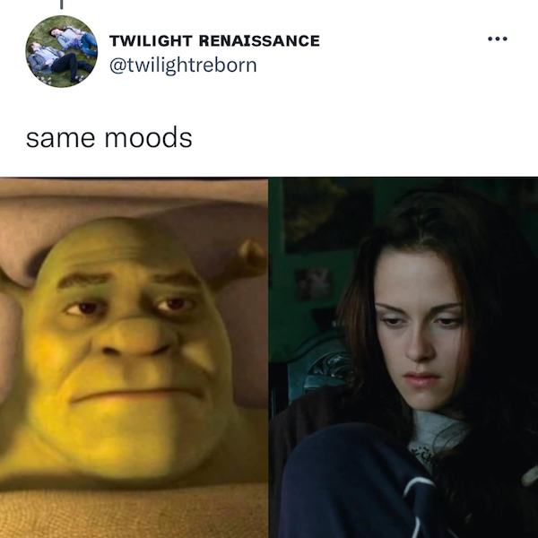 'Shrek' And 'Twilight' Have A Lot In Common (21 pics)