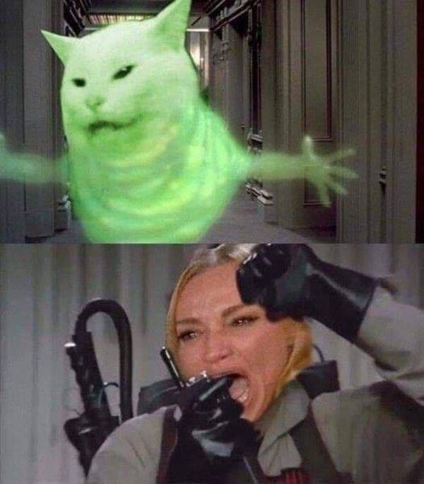 Paranormal Memes (25 pics)