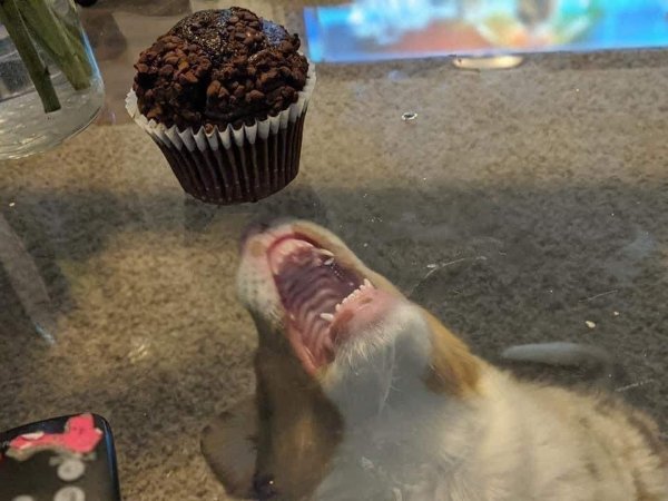 Weird Pictures From Internet (26 pics)