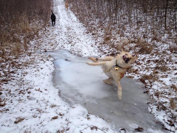 Weird Pictures From Internet (26 pics)