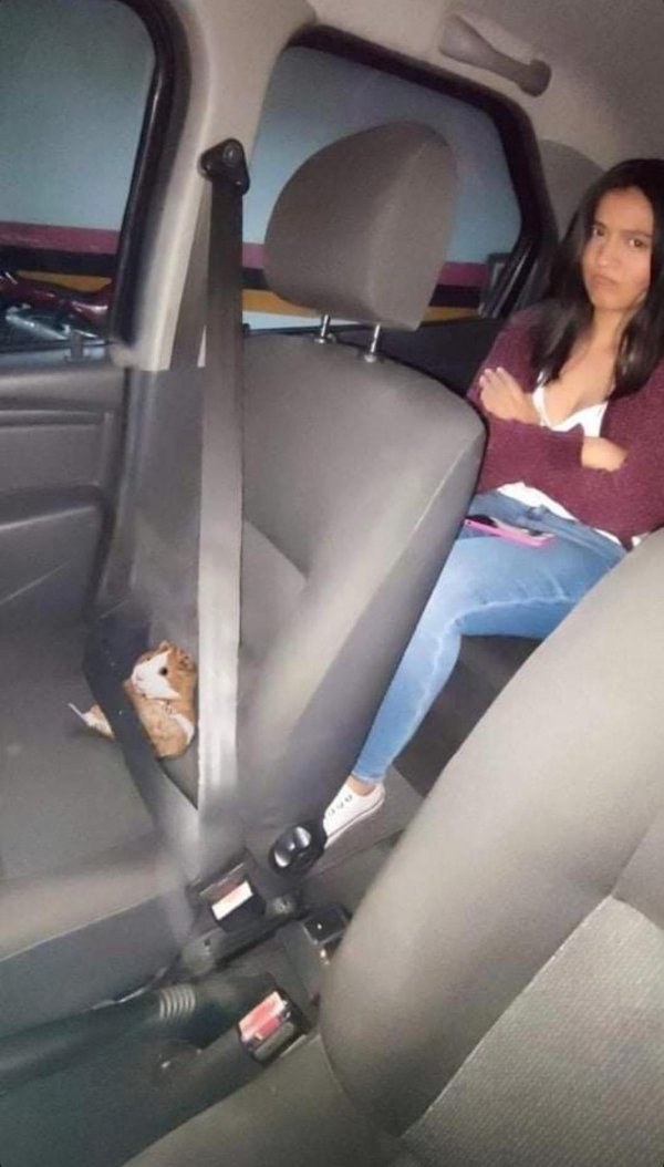 Weird Pictures From Internet (26 pics)
