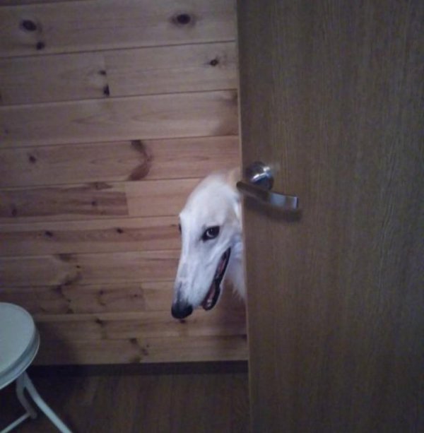 Weird Pictures From Internet (26 pics)