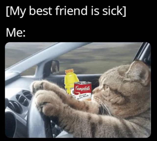 Wholesome Memes (54 pics)