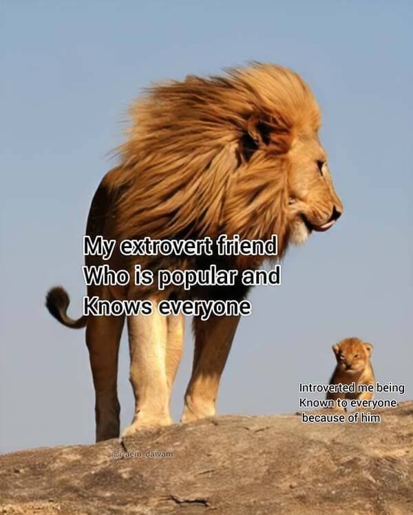 Wholesome Memes (54 pics)
