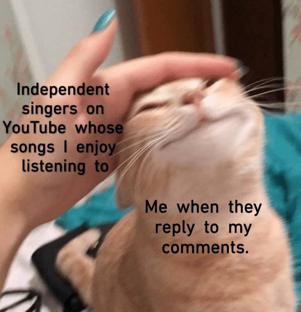 Wholesome Memes (54 pics)