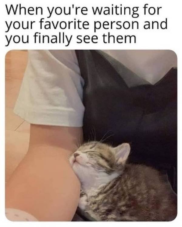 Wholesome Memes (54 pics)