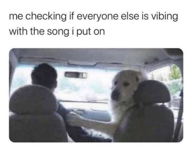Wholesome Memes (54 pics)