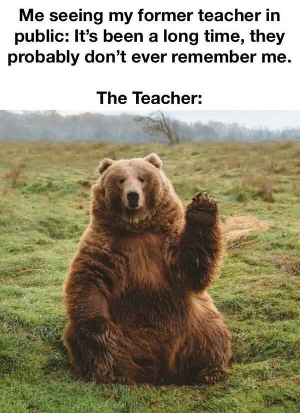Wholesome Memes (54 pics)