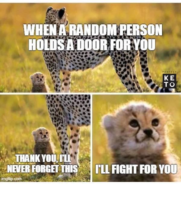 Wholesome Memes (54 pics)