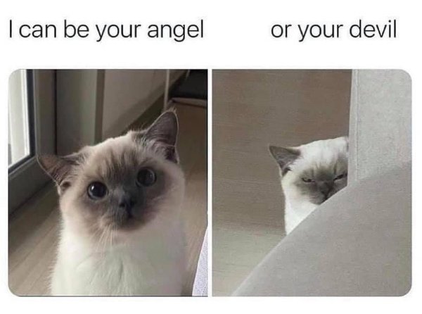 Hilarious Memes (29 pics)