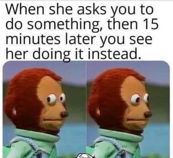 Hilarious Memes (29 pics)