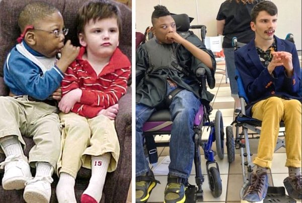 Wholesome Stories (25 pics)
