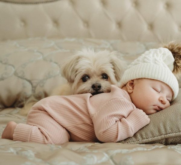 Wholesome Stories (25 pics)