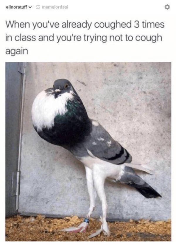 Random Funny Memes (44 pics)
