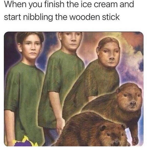 Random Funny Memes (44 pics)