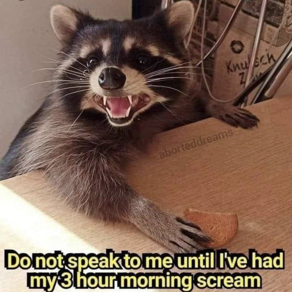 Random Funny Memes (44 pics)