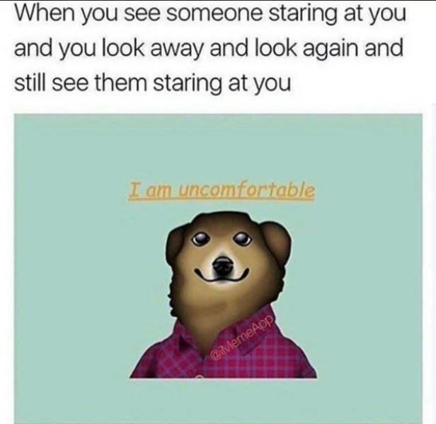 Random Funny Memes (44 pics)