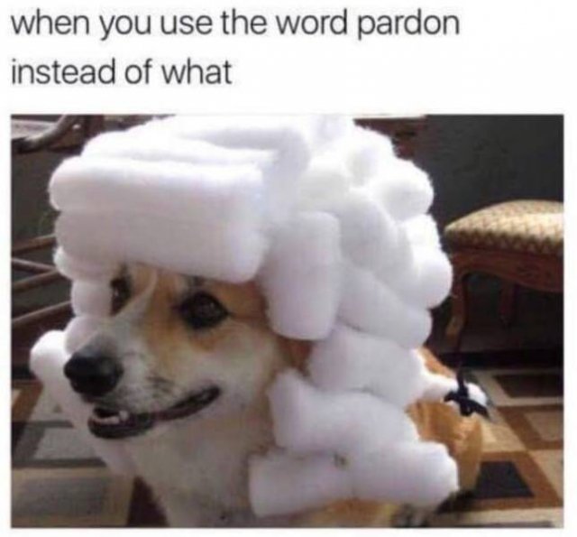 Random Funny Memes (44 pics)