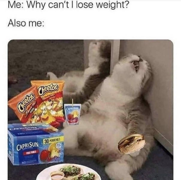 Random Funny Memes (44 pics)