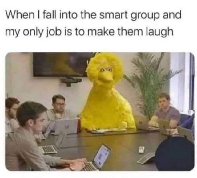 Random Funny Memes (44 pics)