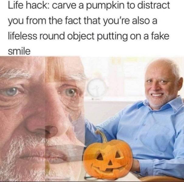 Random Funny Memes (44 pics)
