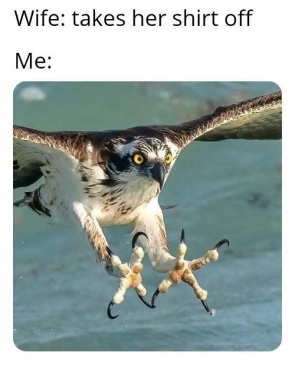 Random Funny Memes (44 pics)