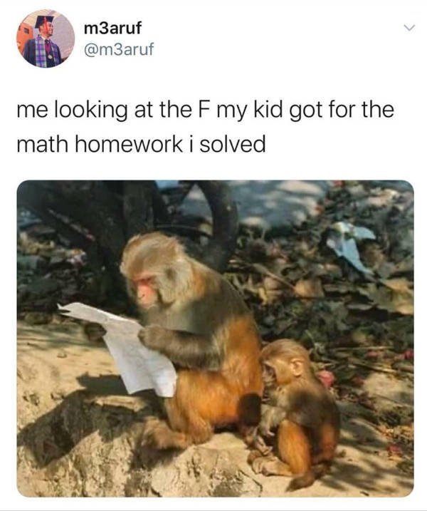 Random Funny Memes (44 pics)