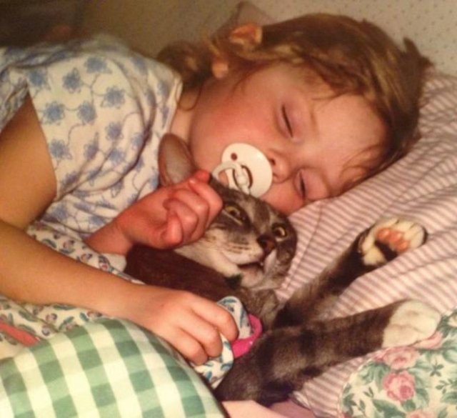 Funny Photos (35 pics)