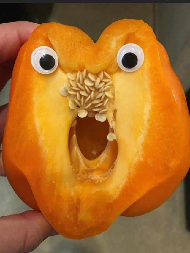 Funny Photos (35 pics)