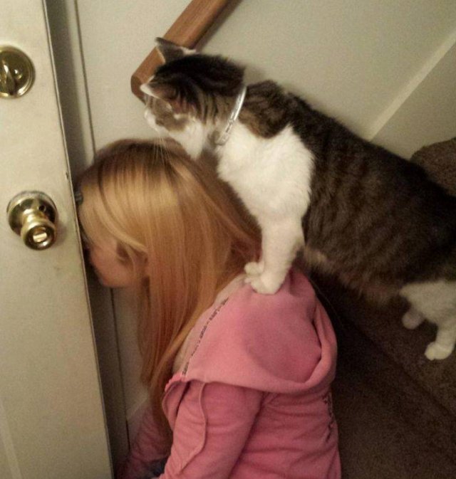 Funny Photos (35 pics)
