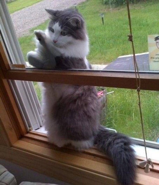 Funny Photos (35 pics)
