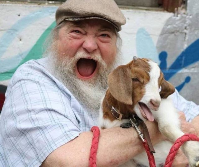 Funny Photos (35 pics)