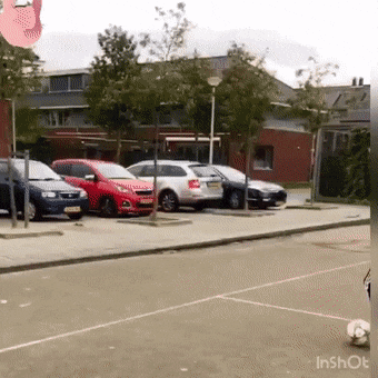 Acid Gifdump, November 15 (25 gifs)