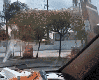 Acid Gifdump, November 15 (25 gifs)