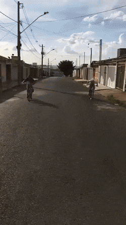Acid Gifdump, November 15 (25 gifs)