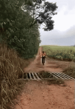 Acid Gifdump, November 15 (25 gifs)