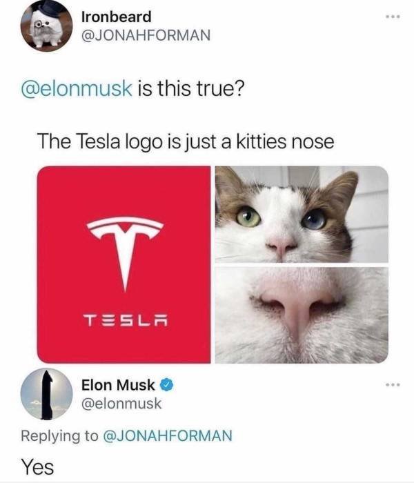 Funny Tweets (45 pics)