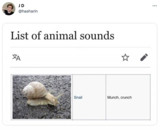 Funny Tweets (45 pics)