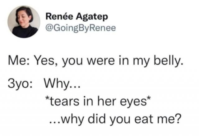 Funny Tweets (45 pics)