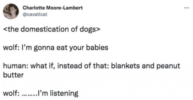 Funny Tweets (45 pics)