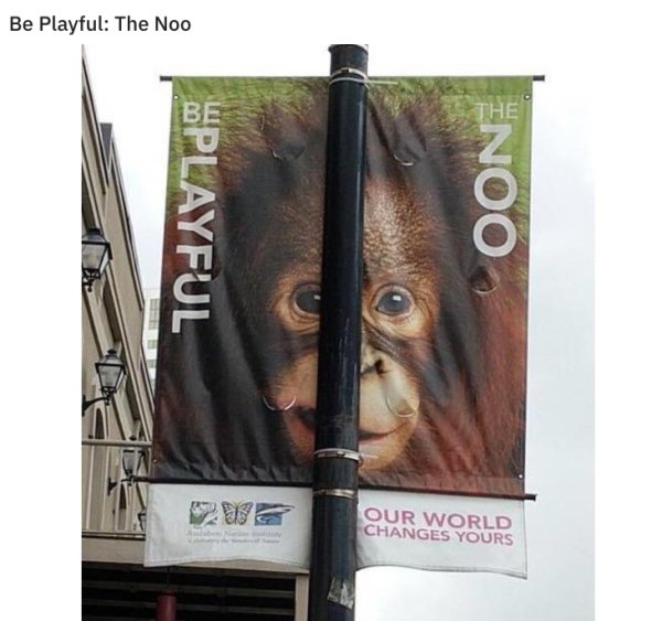 Sign Fails (26 pics)
